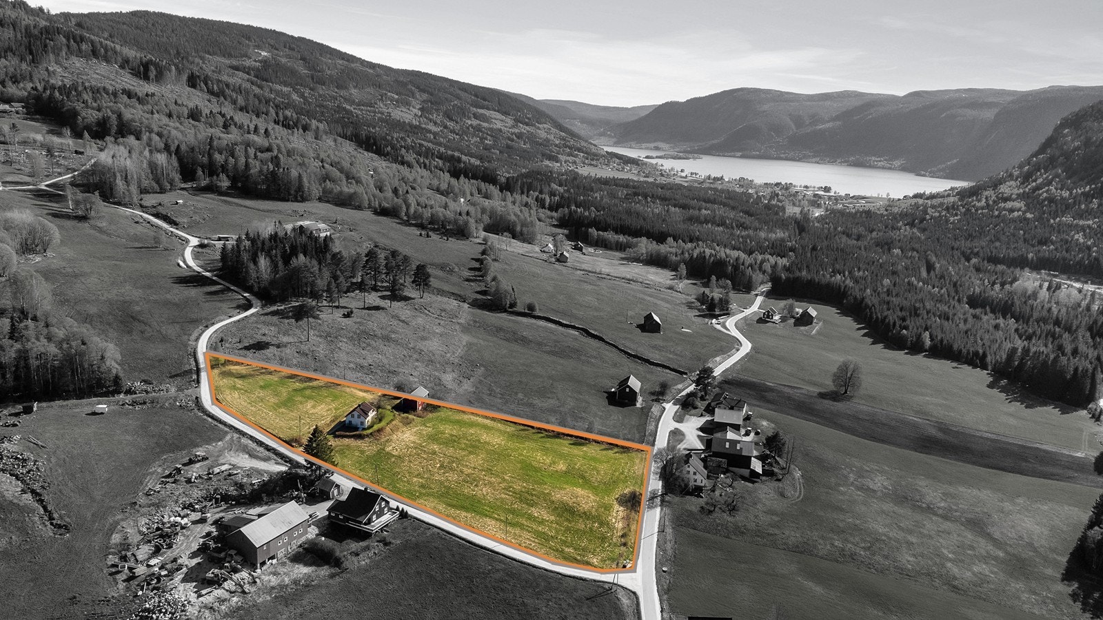 Stor eiet tomt Galleribilde