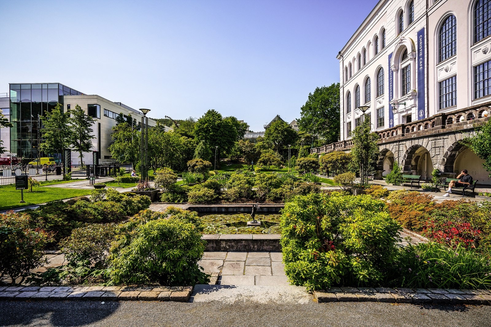 - Muséhagen - en botanisk hage ved Universitetsmuseet i Bergen - Galleribilde