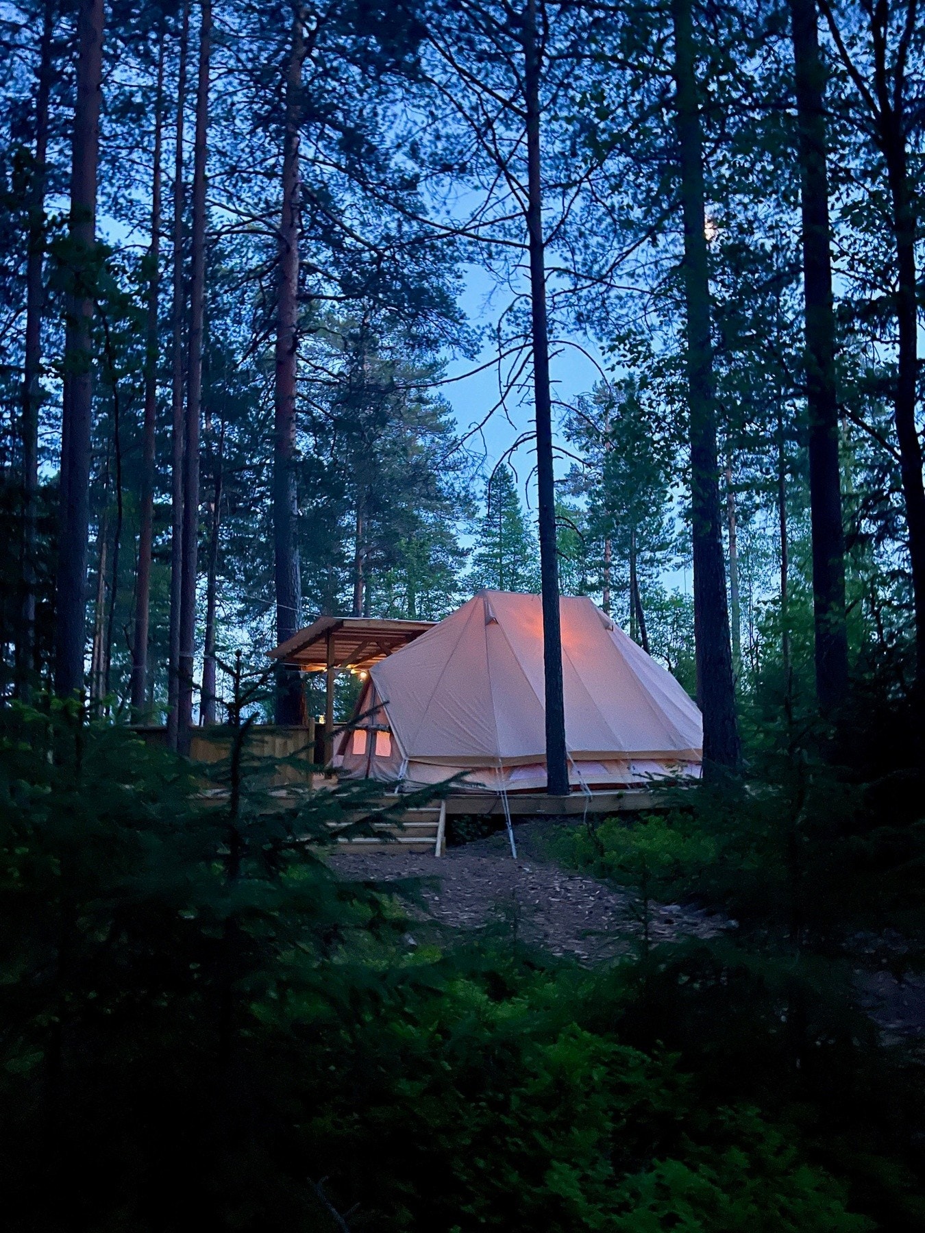 Selgers bilde Galleribilde