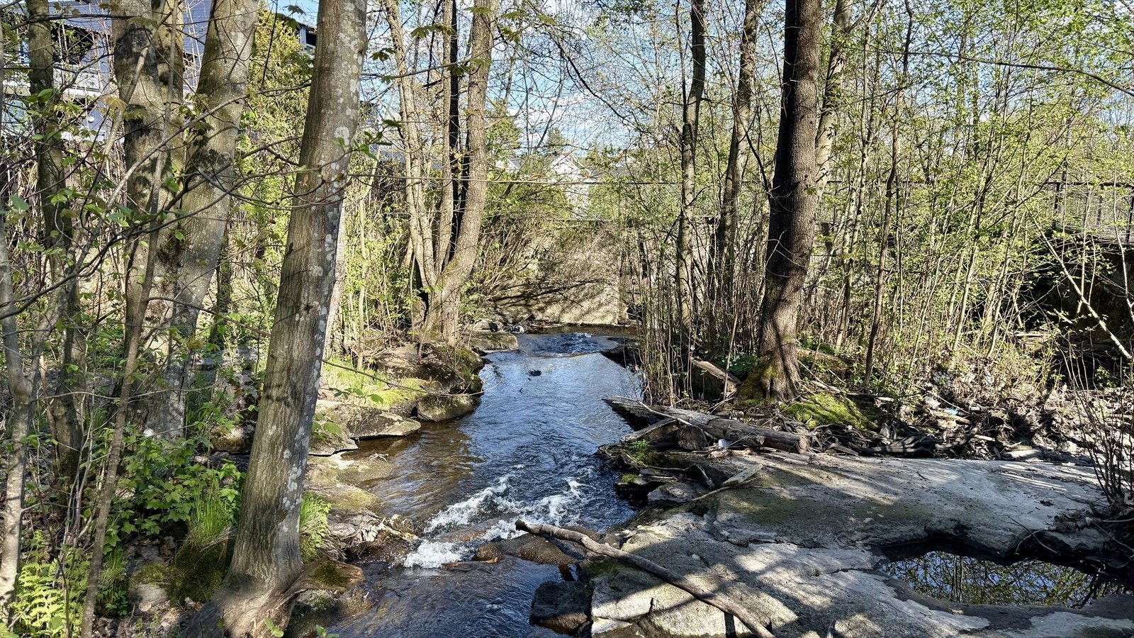 Det er flotte turmuligheter i skog og mark i nærheten av boligen. Galleribilde