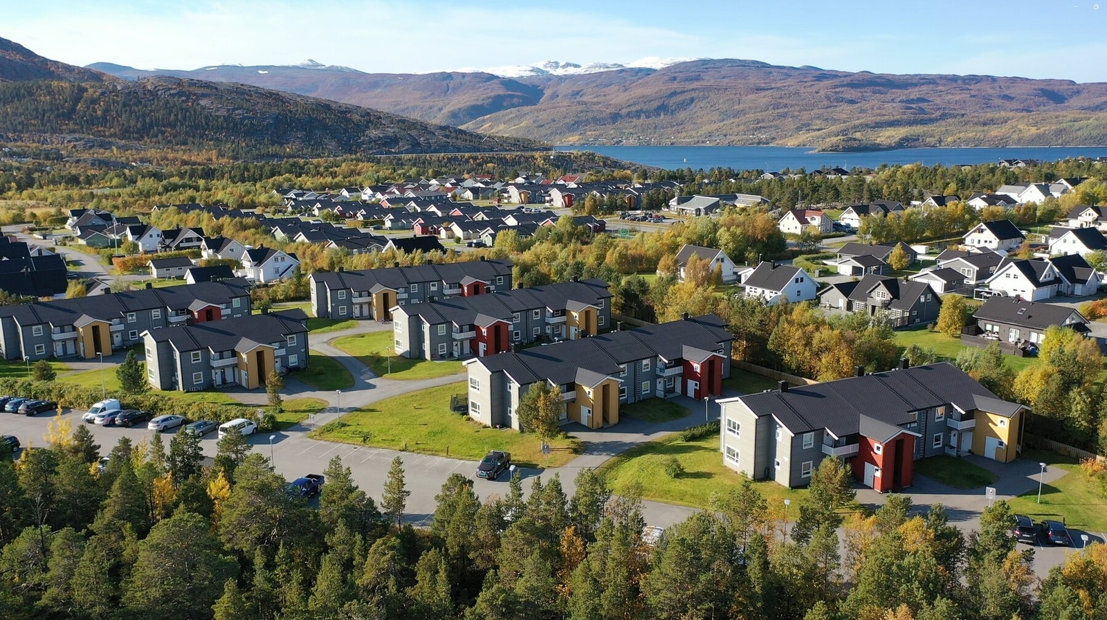 Velkommen på visning! Galleribilde