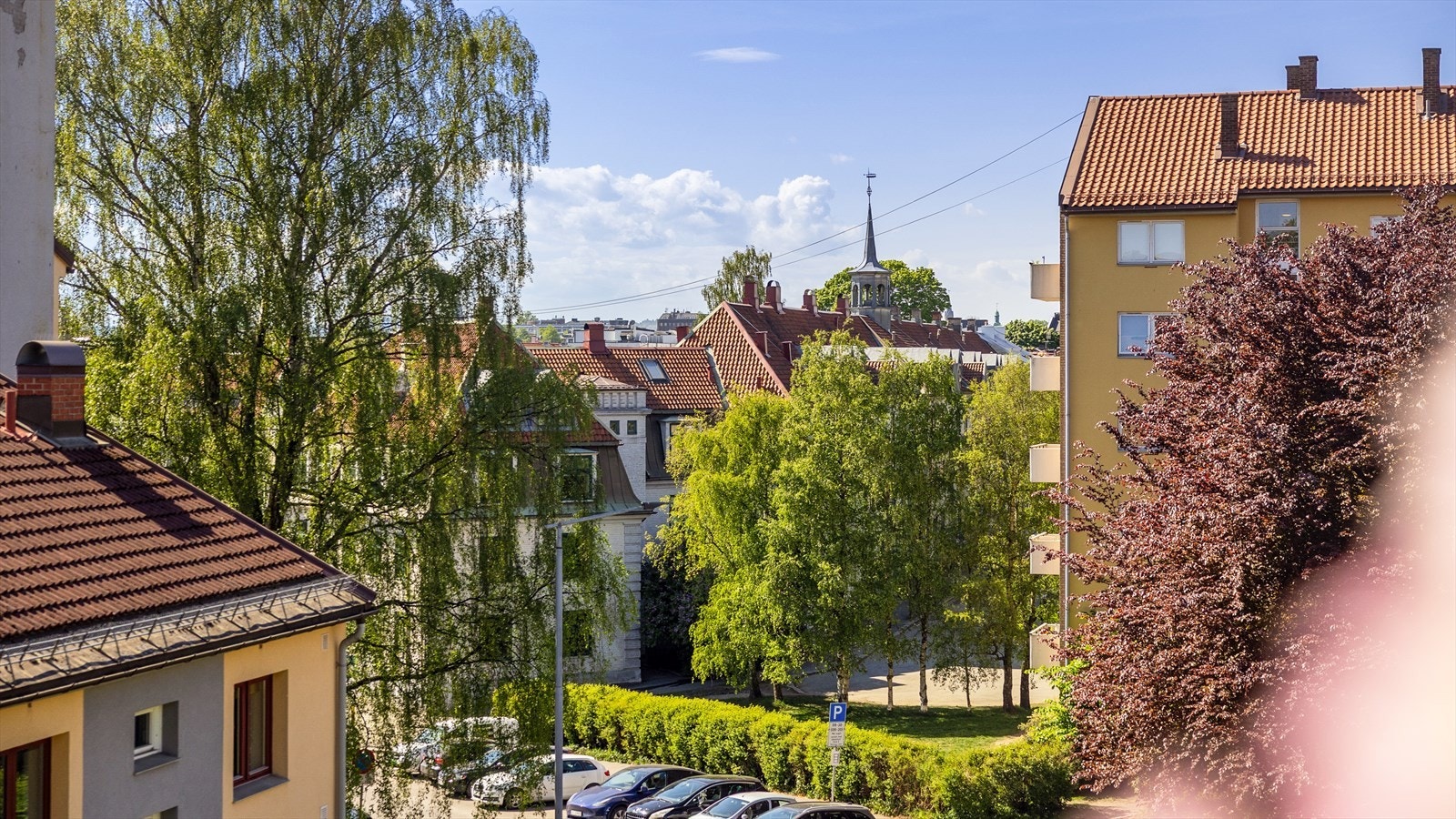 Grønt og fint utsyn. Galleribilde