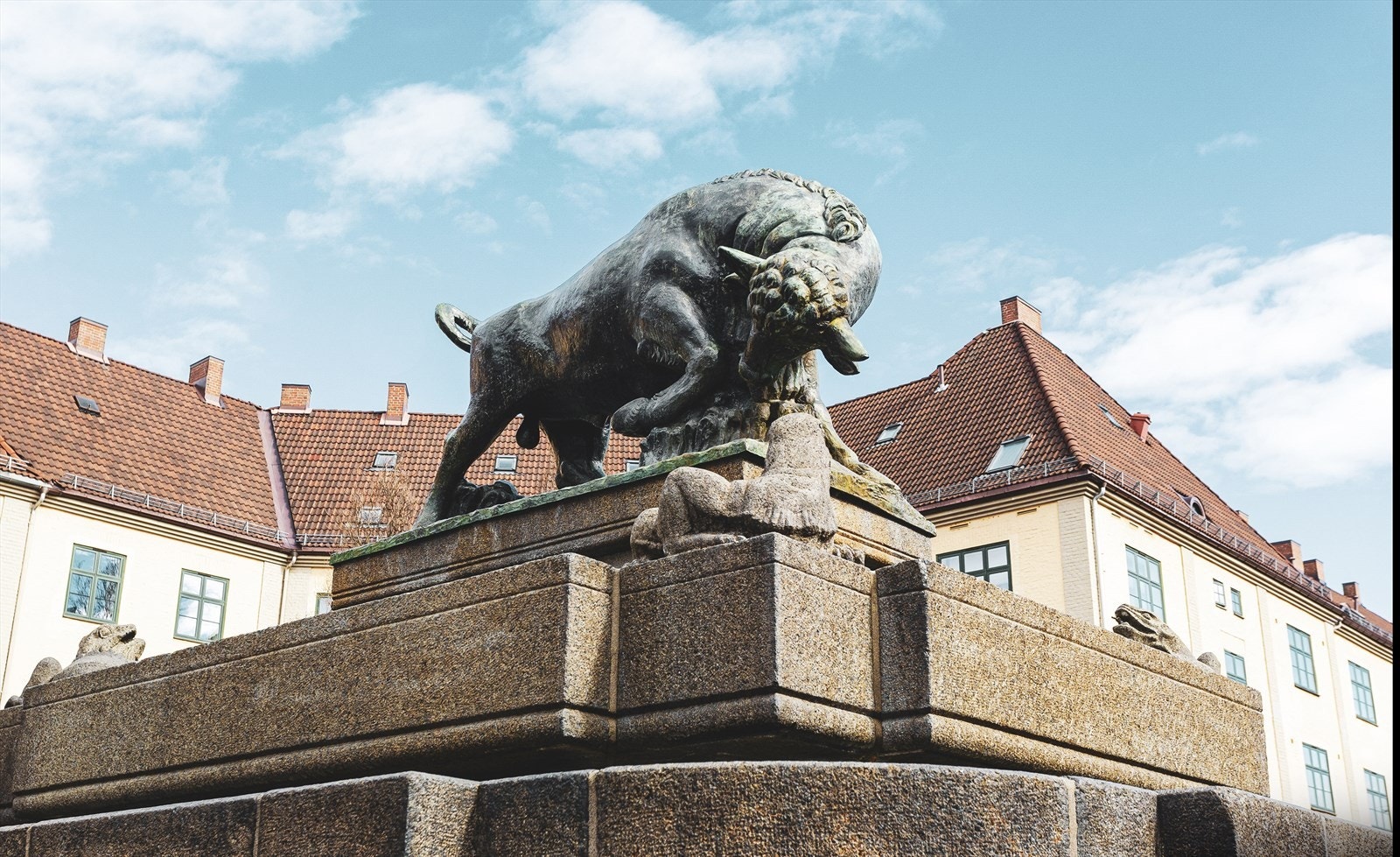 Områdebilde. Galleribilde