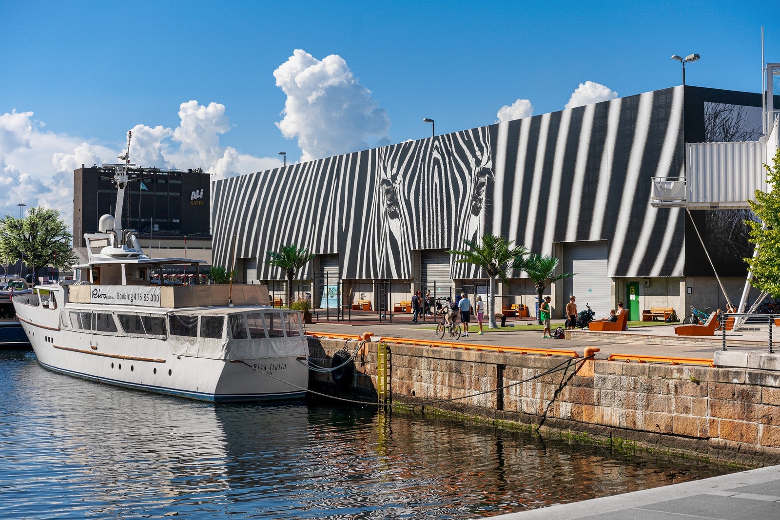 Nærområdet. Galleribilde