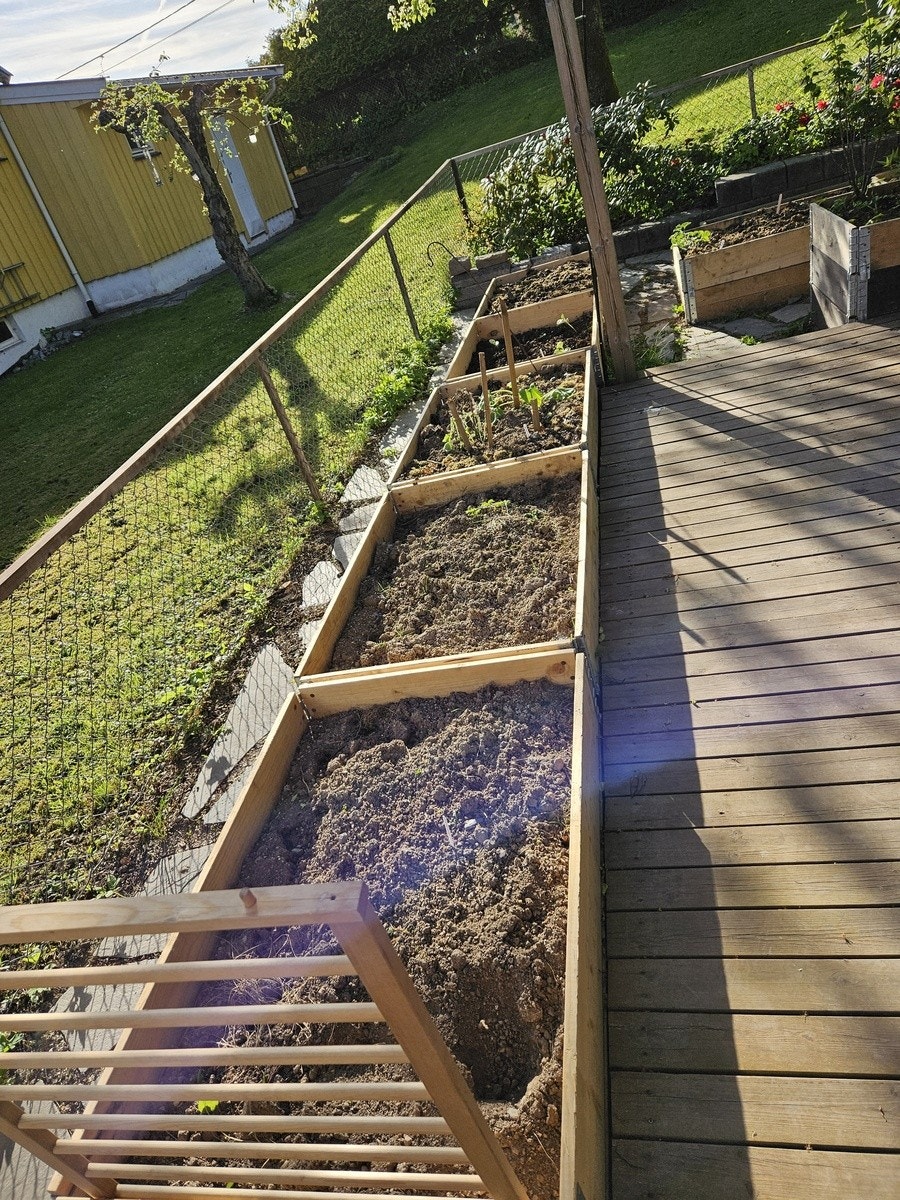 raised beds in back garden Galleribilde