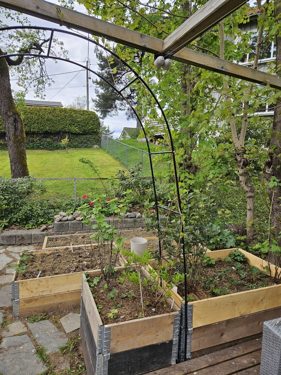 back garden Galleribilde