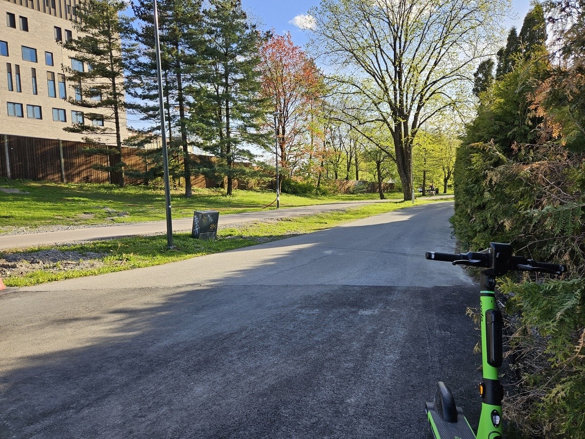 bike path in front of the house Galleribilde