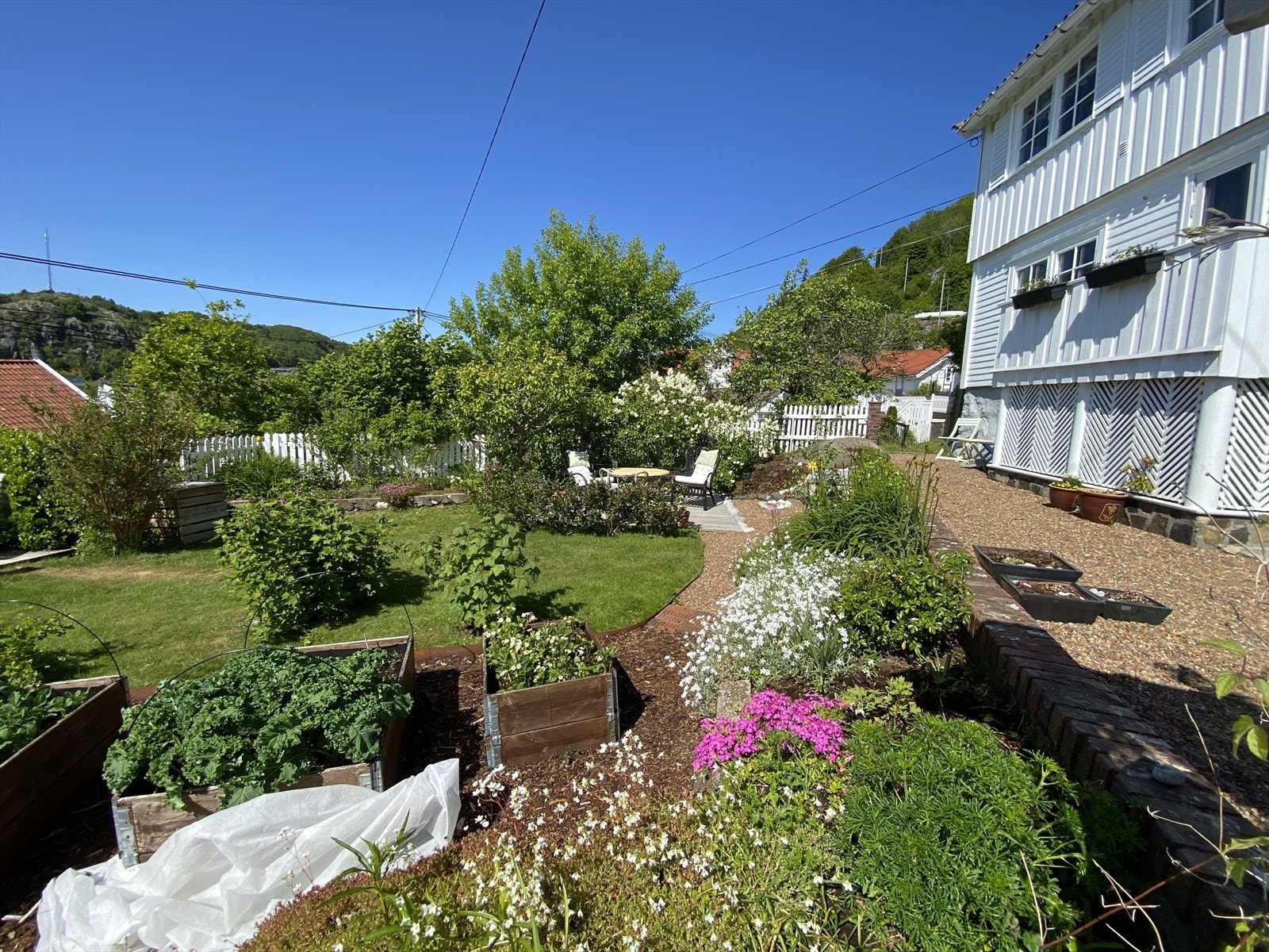 Stemningsbilder fra sommersesongen Galleribilde