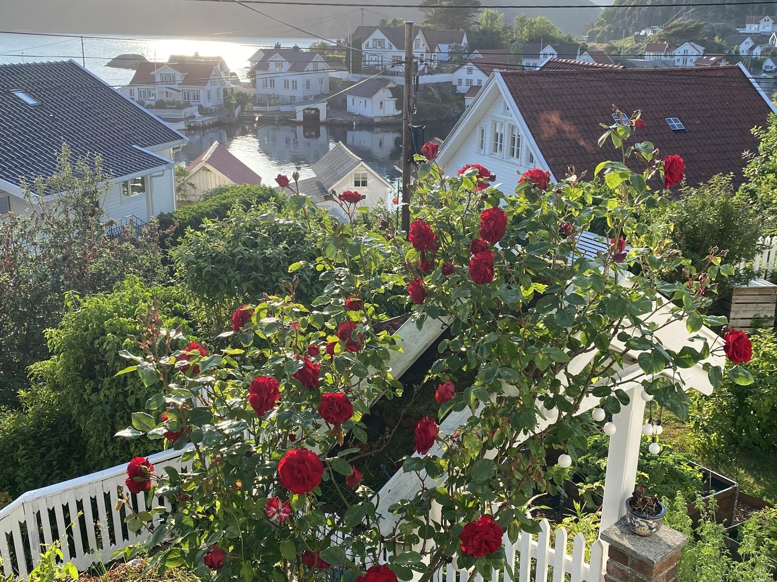 Stemningsbilder fra sommersesongen Galleribilde