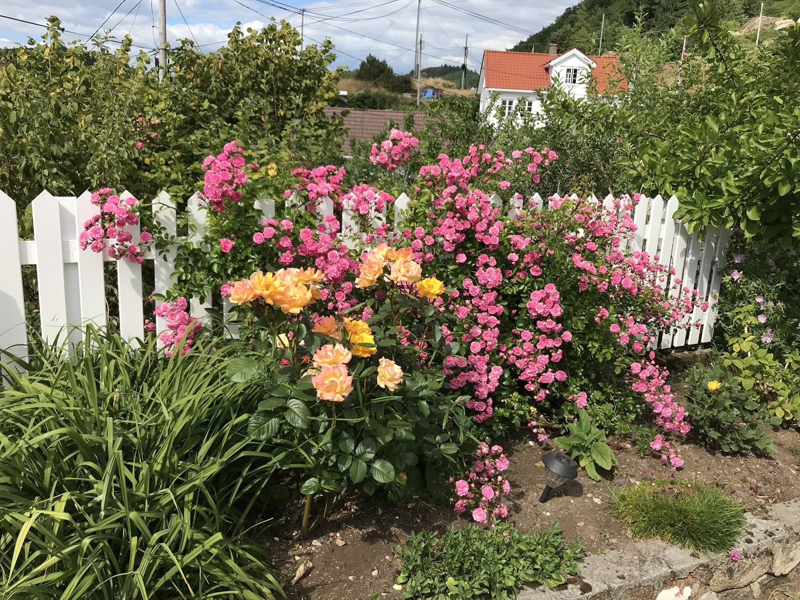 Stemningsbilder fra sommersesongen Galleribilde