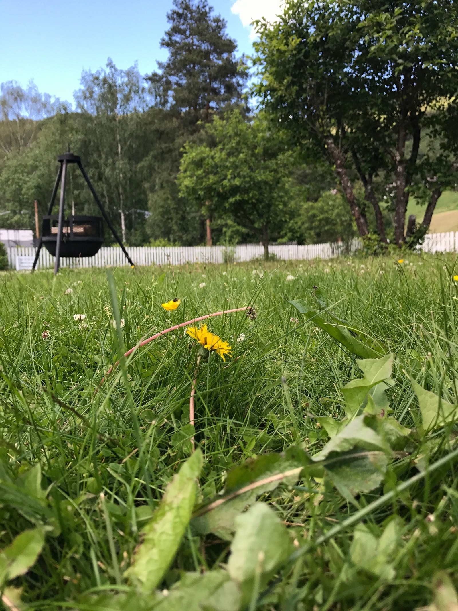 Uteområdet Galleribilde