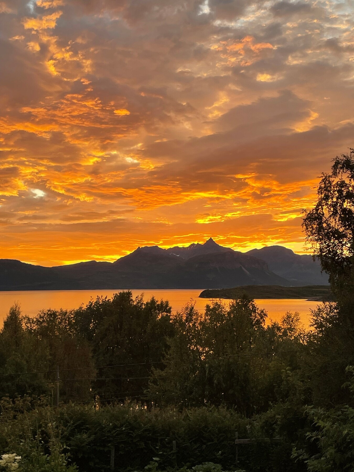 Private bilder. Galleribilde