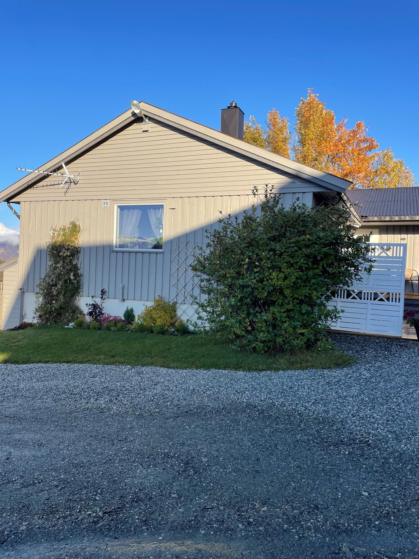 Private bilder. Galleribilde