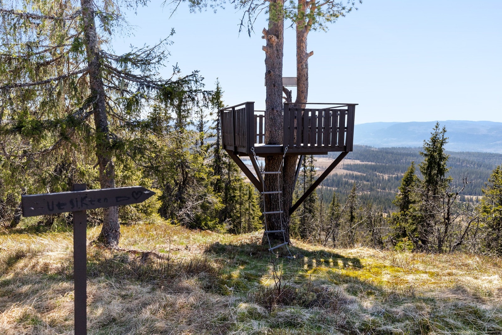 Se utsikten fra uteplassen i treet Galleribilde