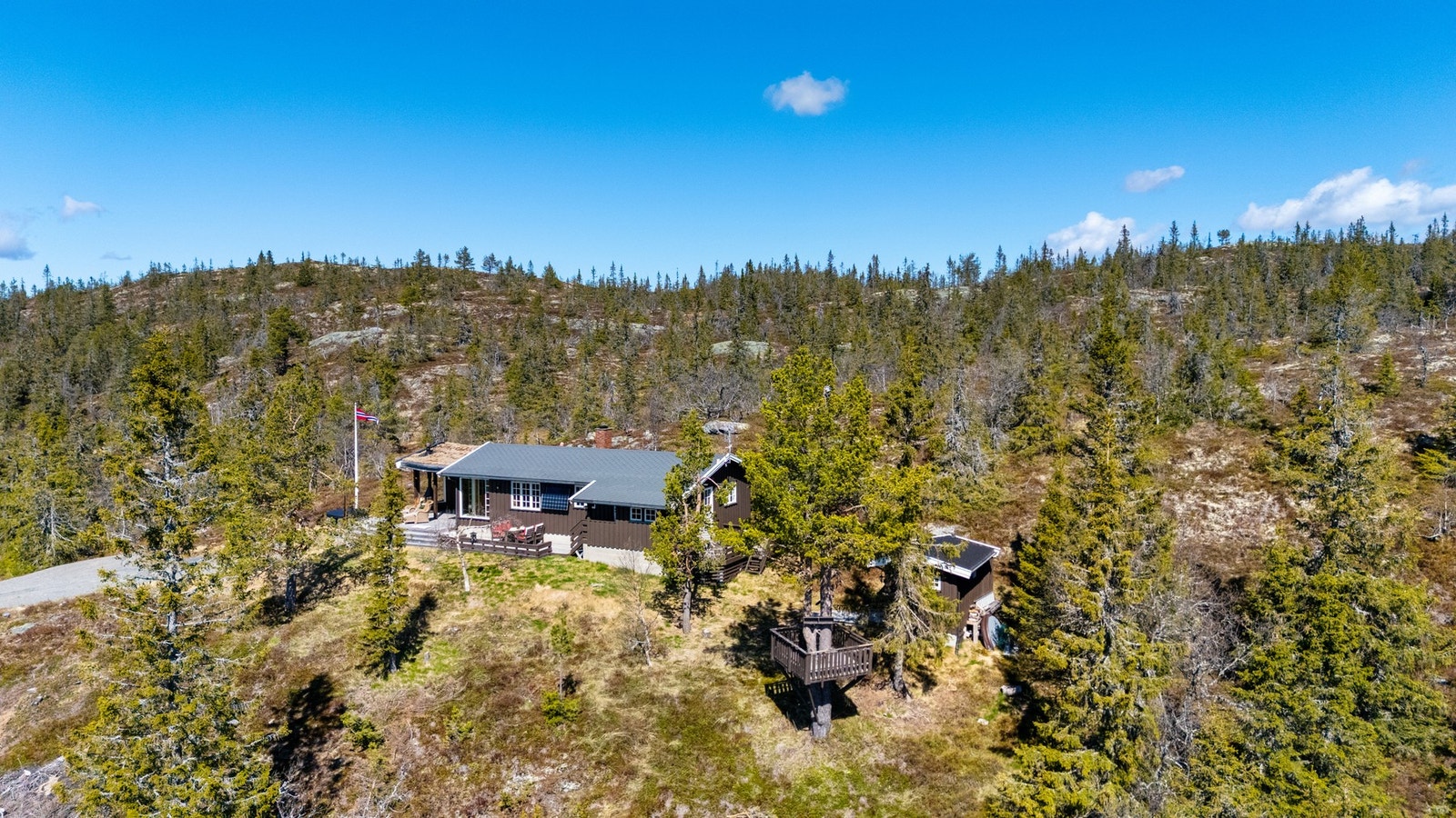 På bakkeplan er det god plass til lek og moro, det er etablert en uteplass i det ene treet som kan være spennende for de minste i familien og bruke. Galleribilde