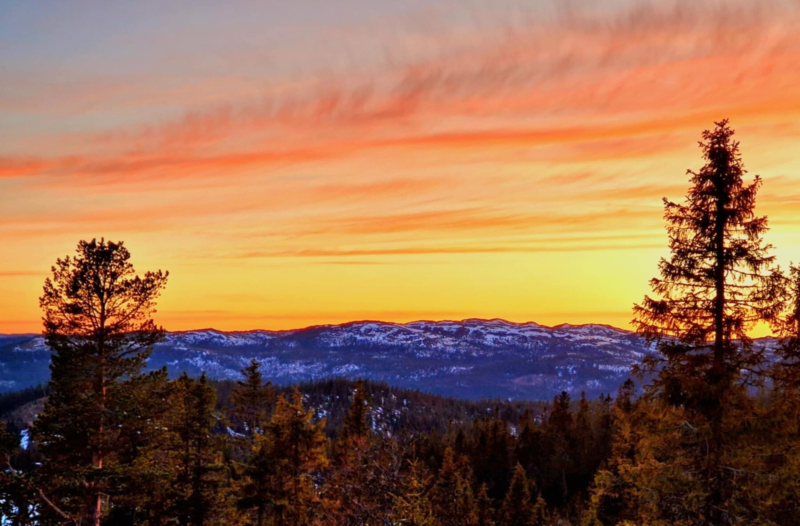 Nydelig solnedgang Galleribilde