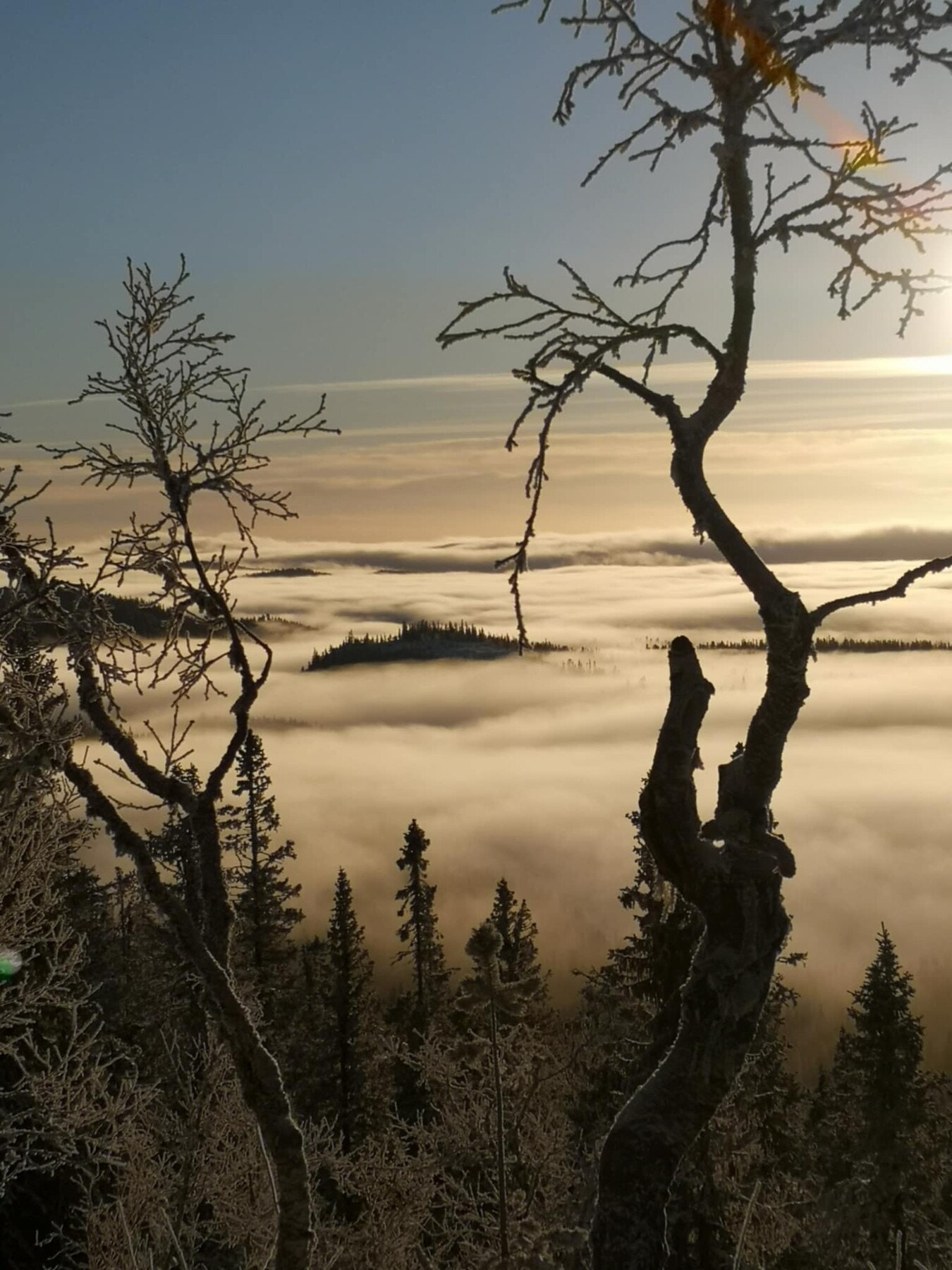Stemningsfult bilde - fra selgers arkiv Galleribilde