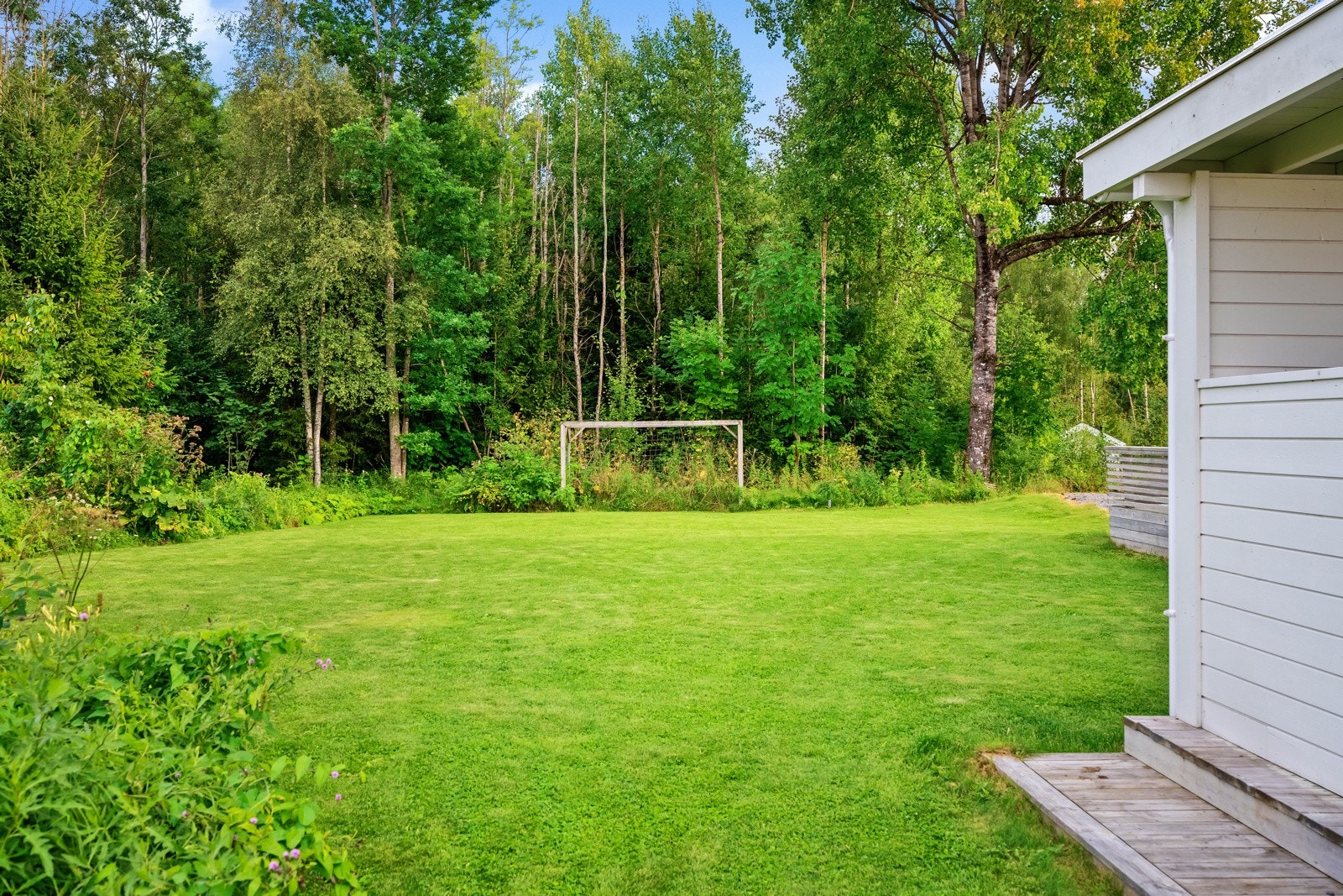 Stor og flat hage Galleribilde