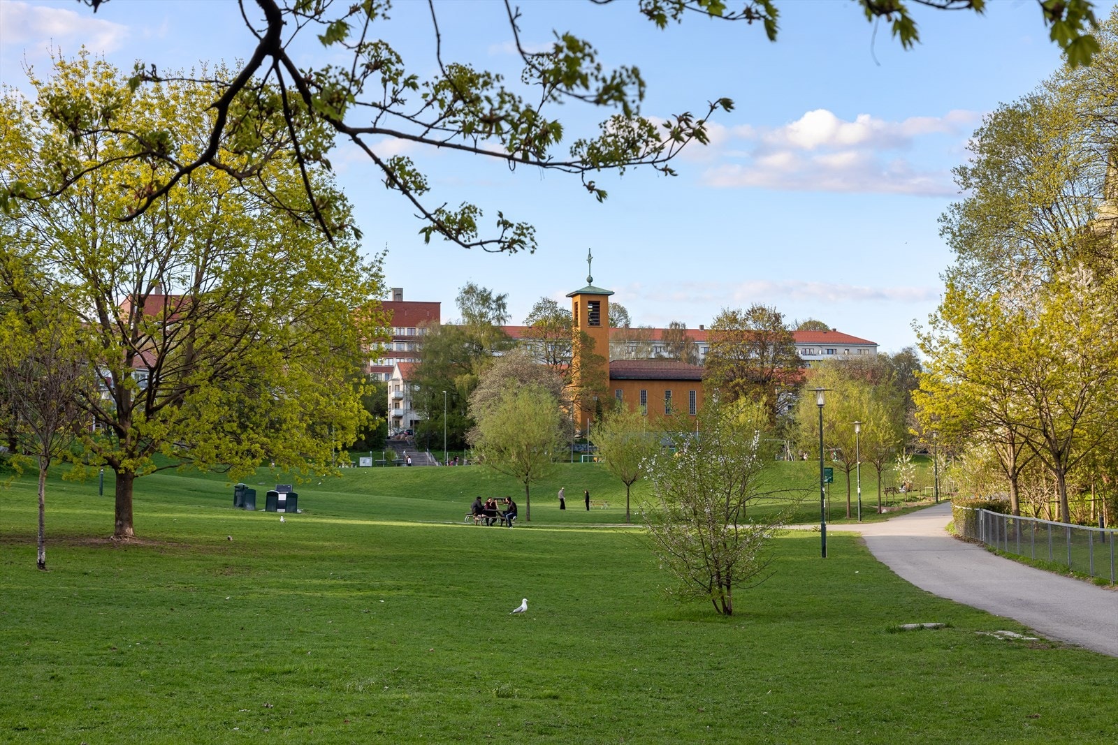 Vakre Iladalen park i umiddelbar nærhet Galleribilde