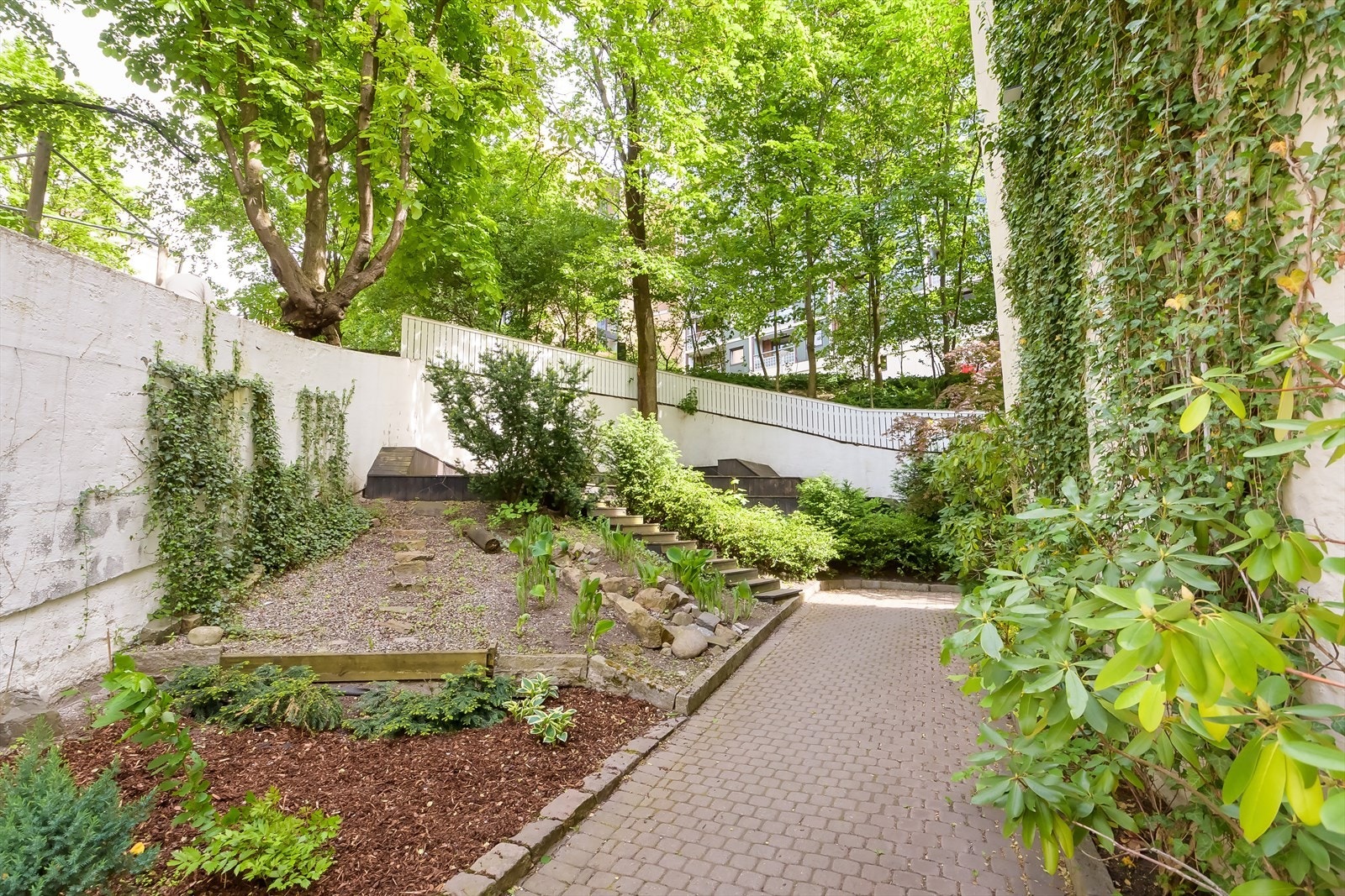 Borettslagets bakgård oppleves som en grønn oase. Galleribilde