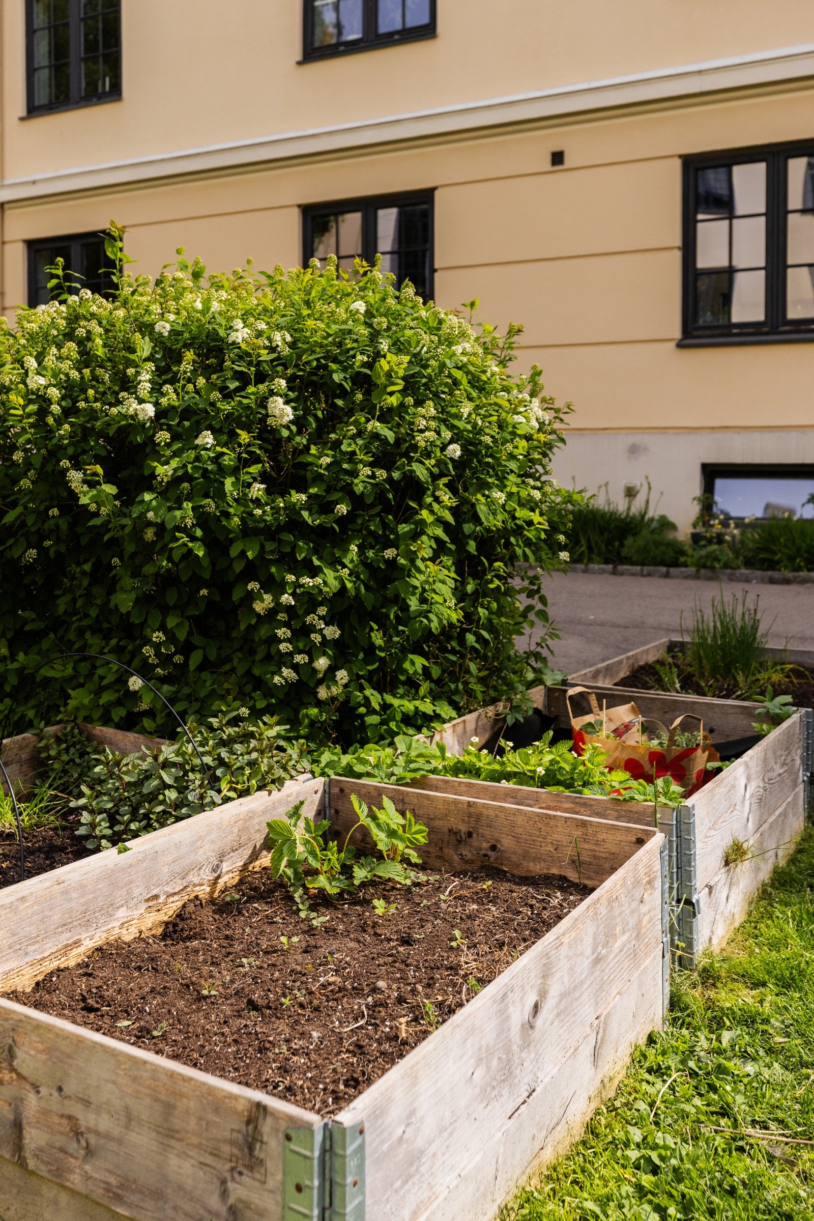 Egen hagegruppe for de med grønne fingre! Galleribilde