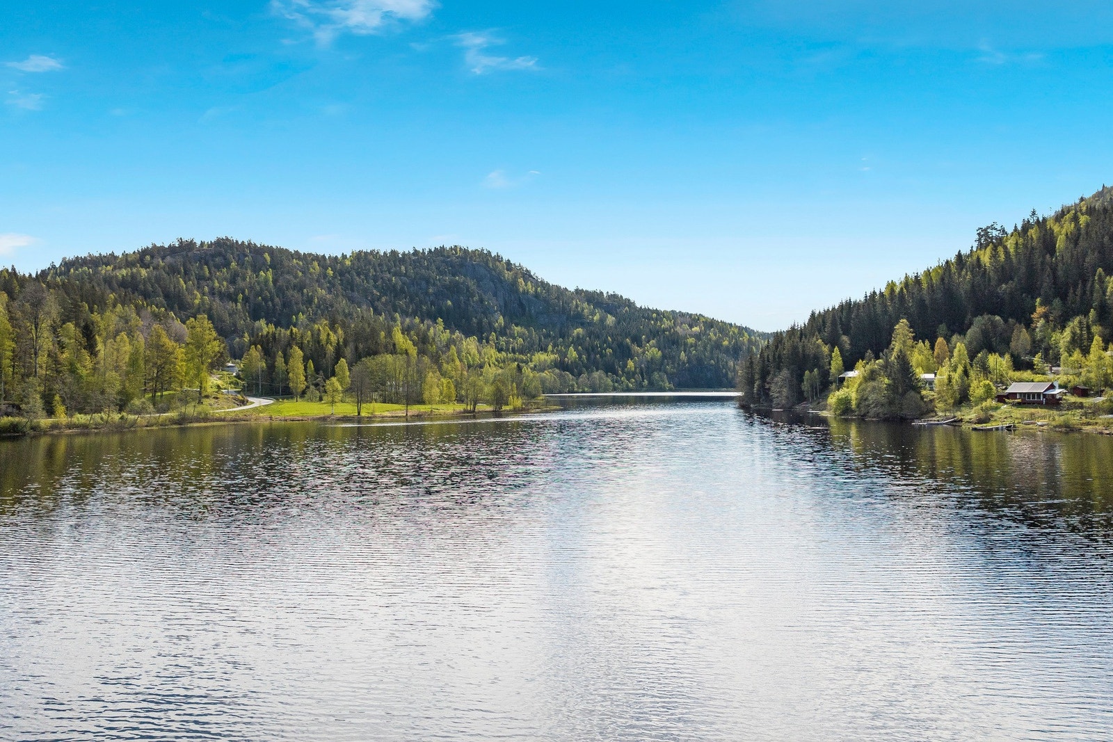 Velkommen til visning! Galleribilde