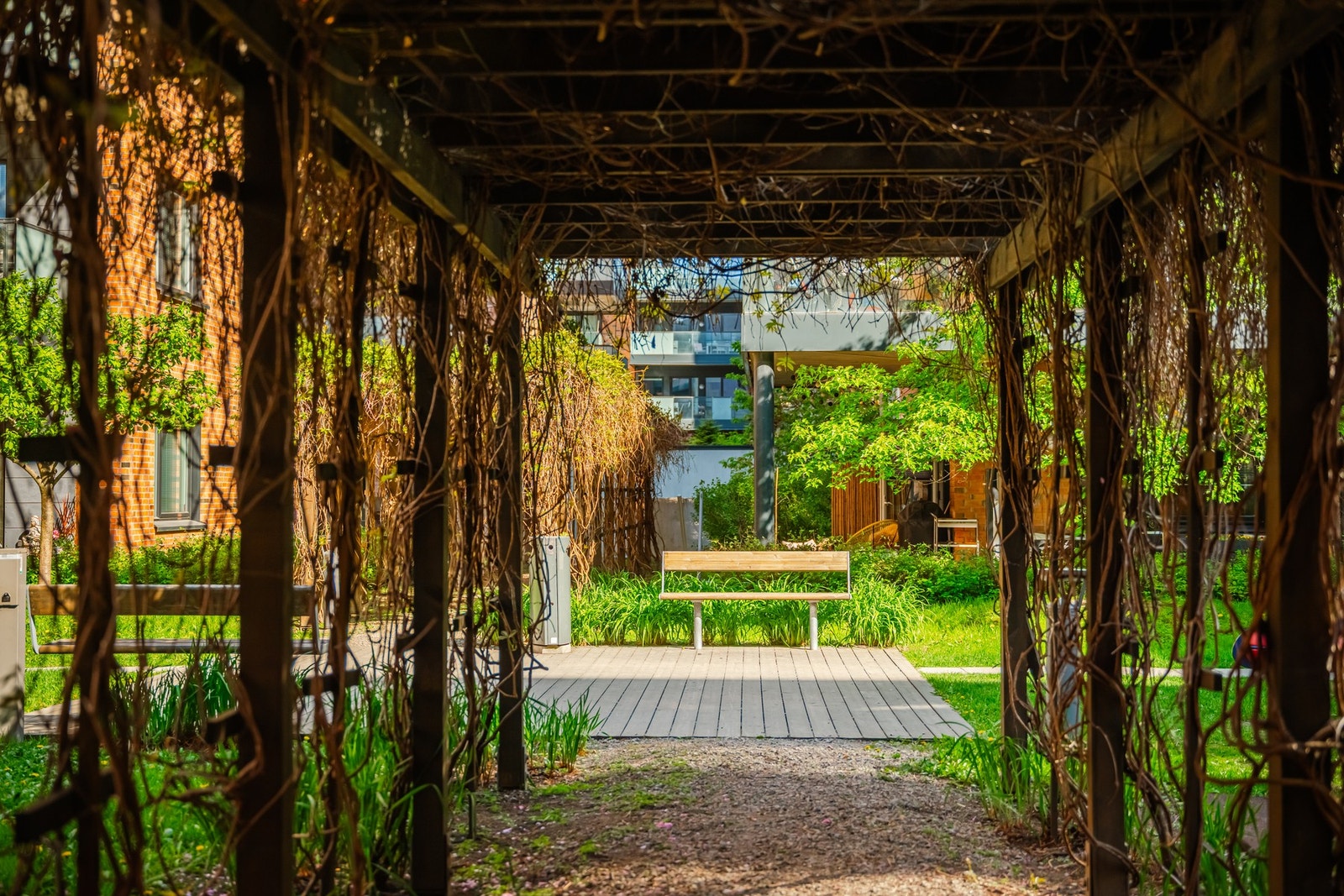 Gjennomført og frodige fellesområder. Galleribilde