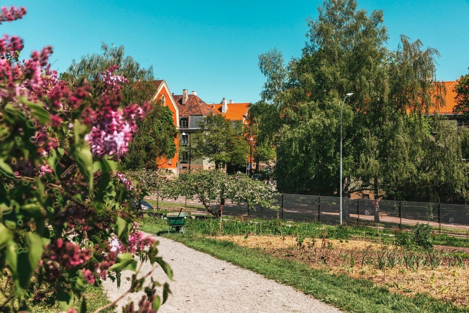 Koselige turområder i kort avstand fra din ytterdør. Galleribilde