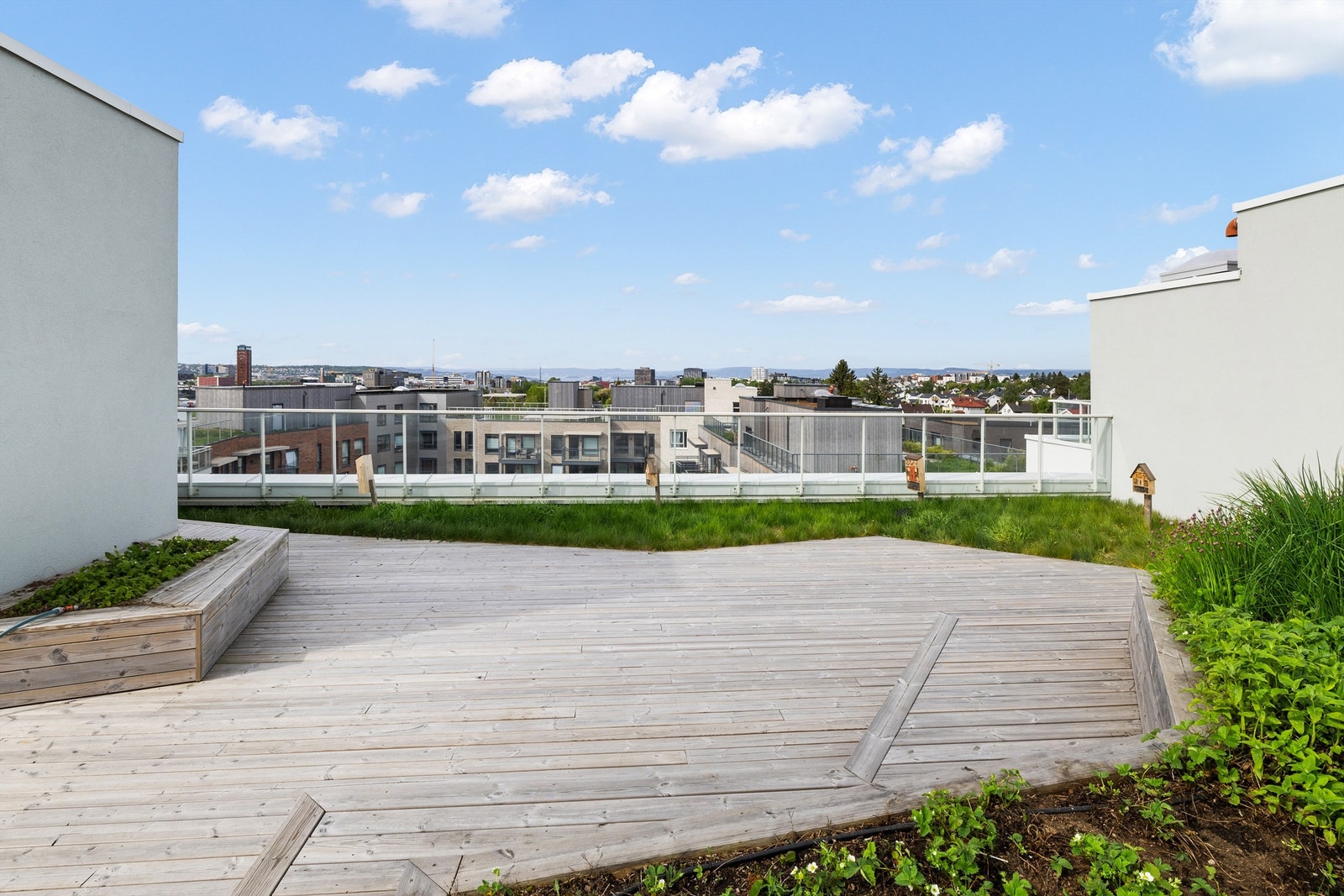 Felles takterrasse. Galleribilde