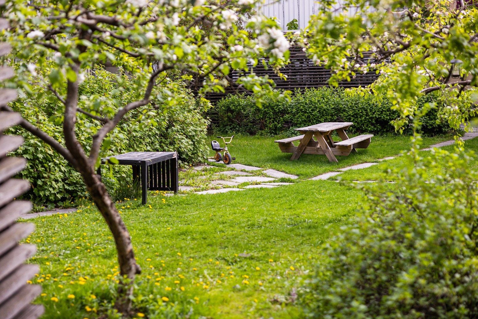 Felles gårdsrom. Galleribilde