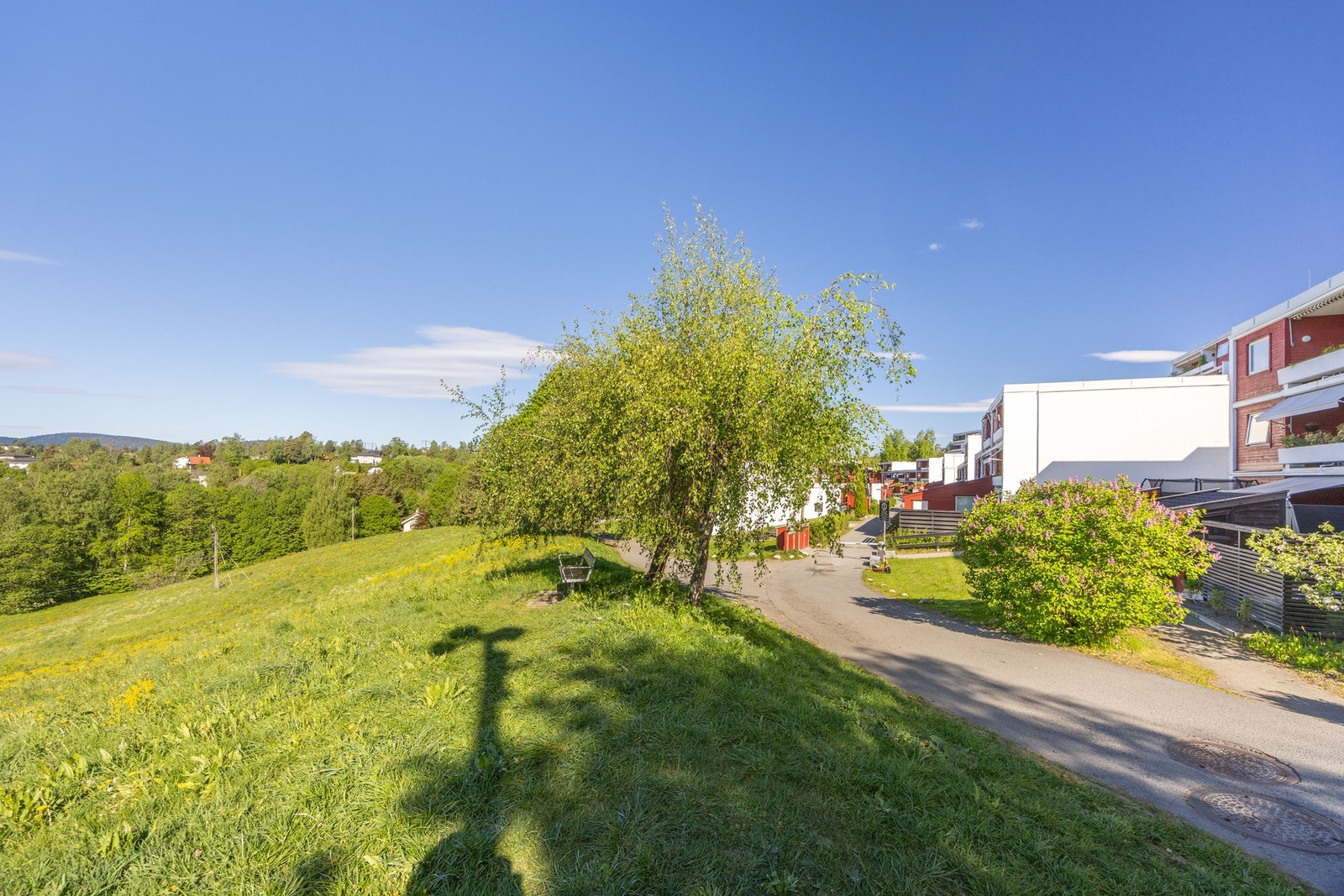Nærområdet har flere flotte turområder. Galleribilde