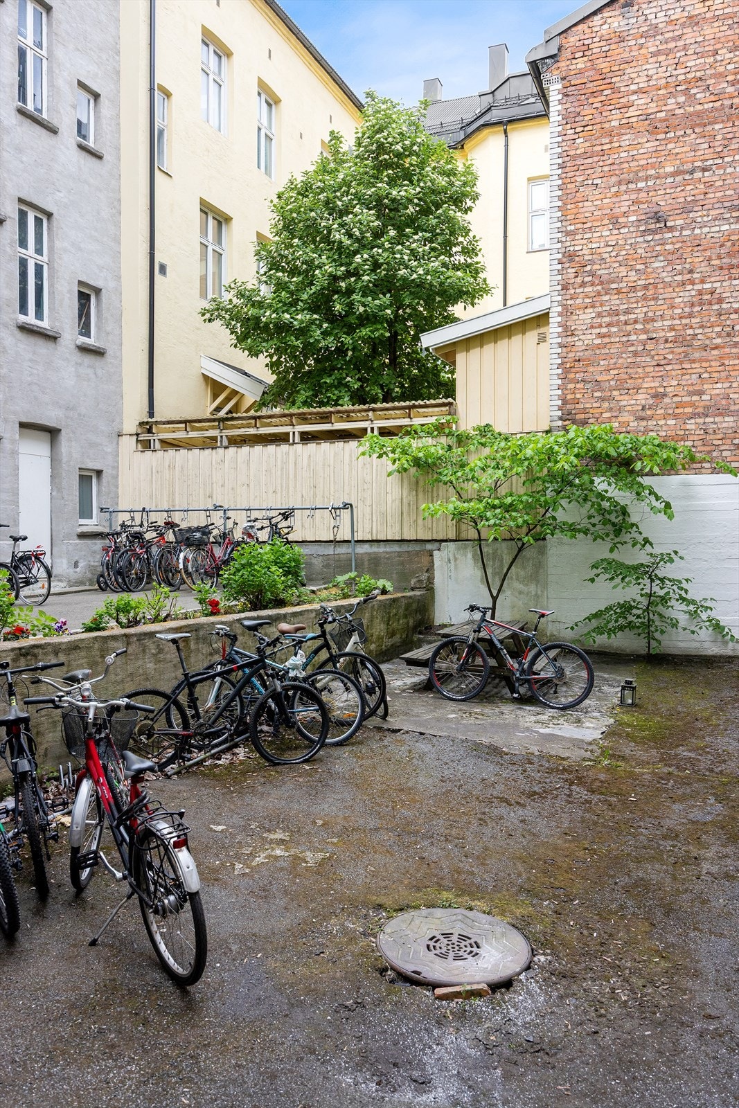 Bakgård med sykkelparkering. Galleribilde
