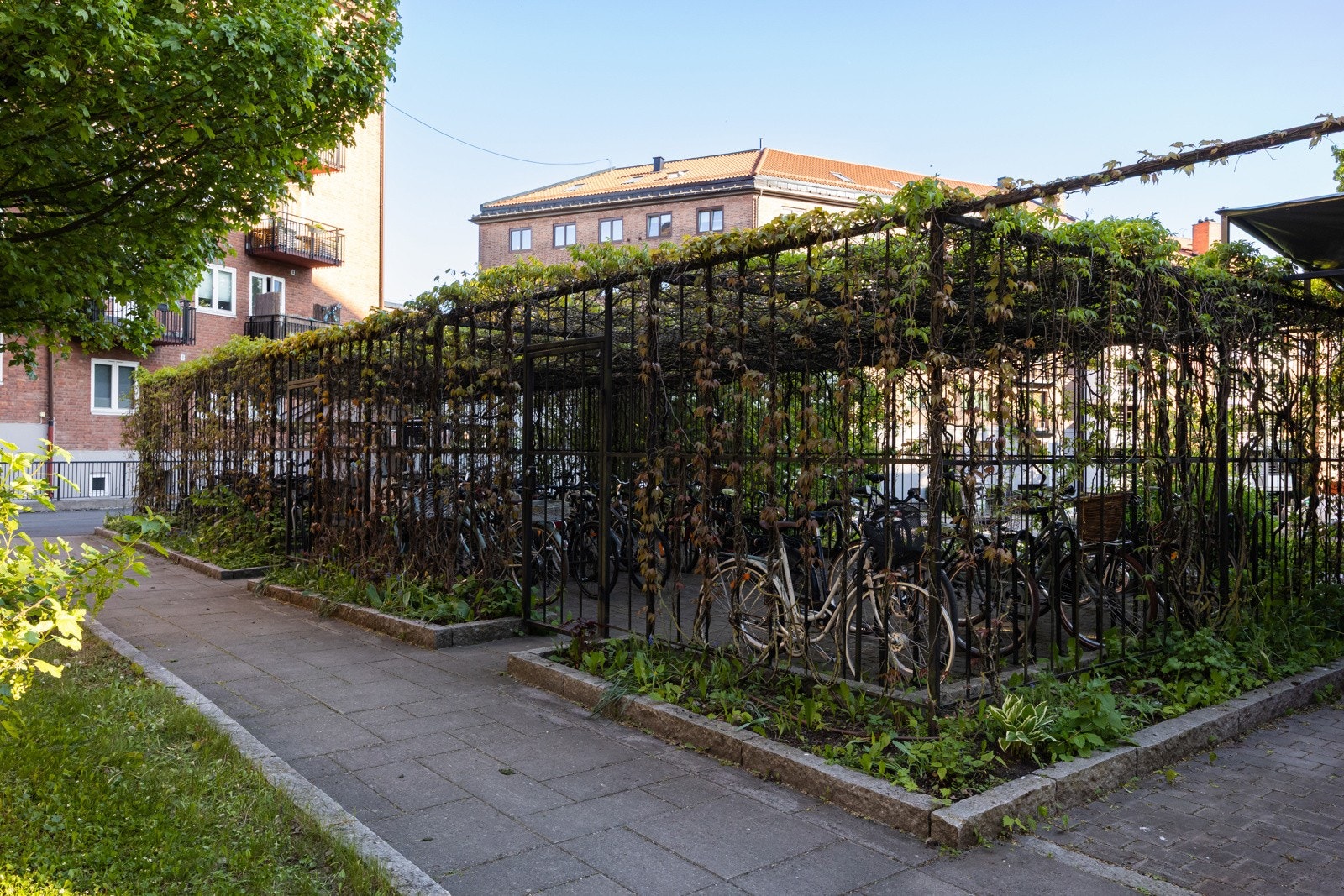 Sykkelparkering i borettslaget Galleribilde