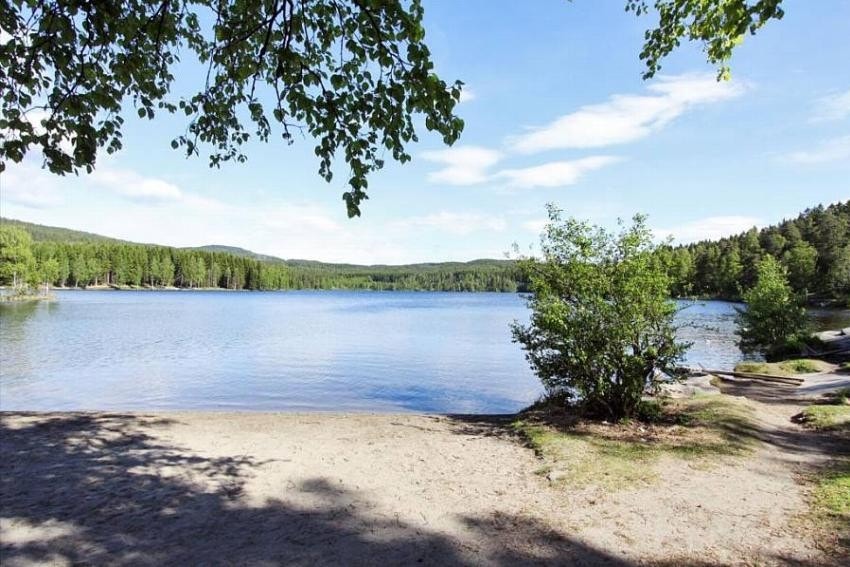 Sognsvannet er kun 10 min gange unna og inviterer til et bad om sommeren eller en spasertur til alle årstider - det er belysning rundt vannet for de mørke vinterdager. Galleribilde
