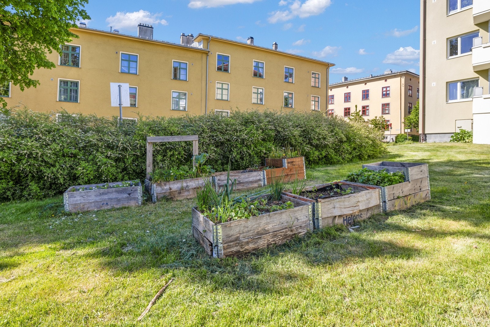 Borettslaget har et eget hagelag, og man kan søke om å få en egen dyrkekasse. Galleribilde