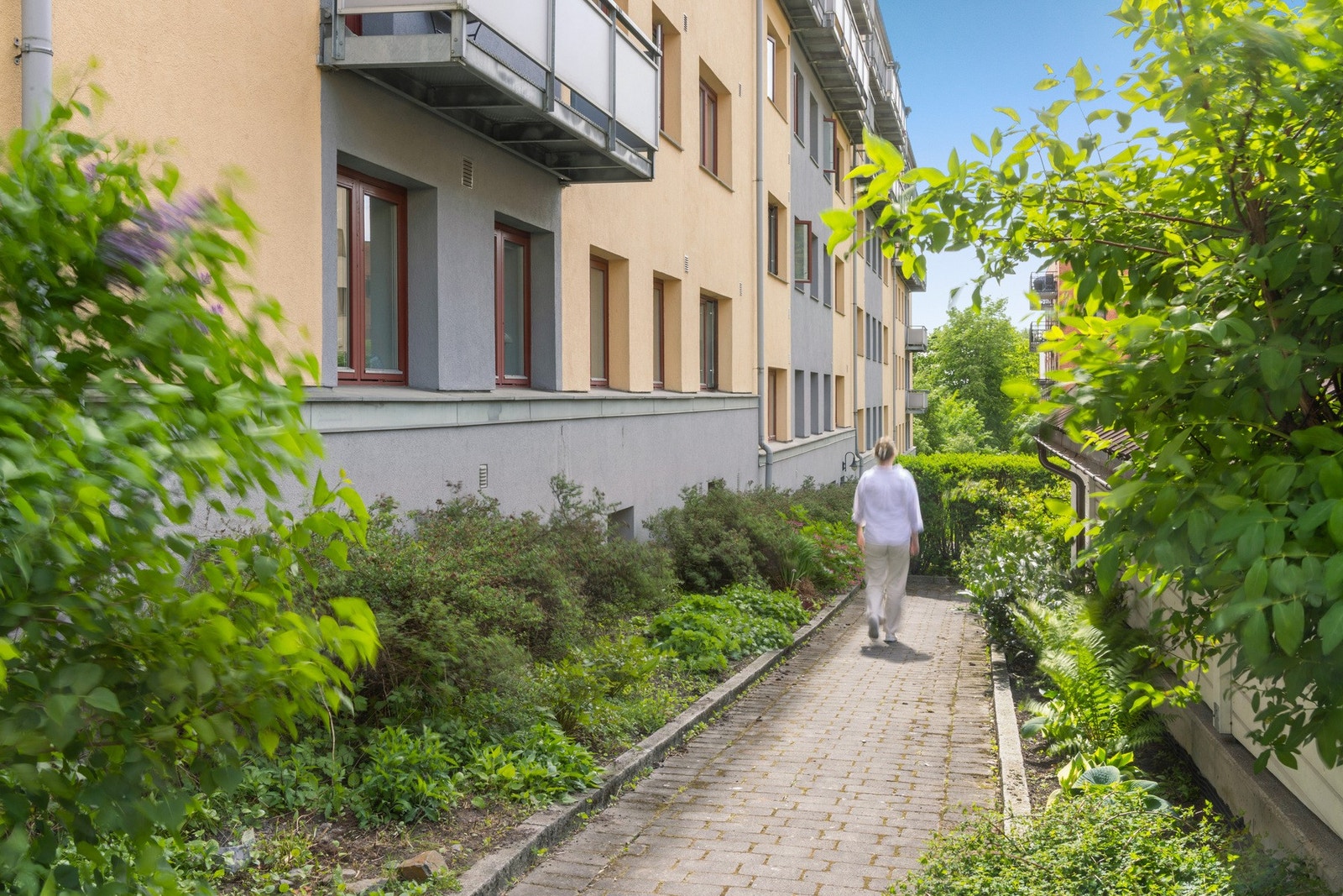 Leiligheten ligger i en høy førsteetasje. Selger rusler forbi vinduene, og hun er 180 cm høy. Legg merke til bedet som skaper avstand til gangstien (som forøvrig er relativt lite brukt). Galleribilde