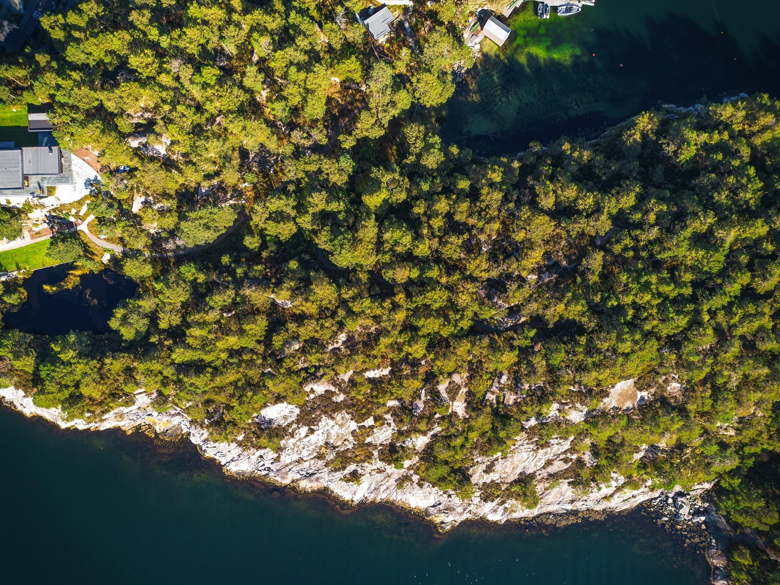 Et blankt lerrett med mange muligheter - En svært sjelden anledning Galleribilde