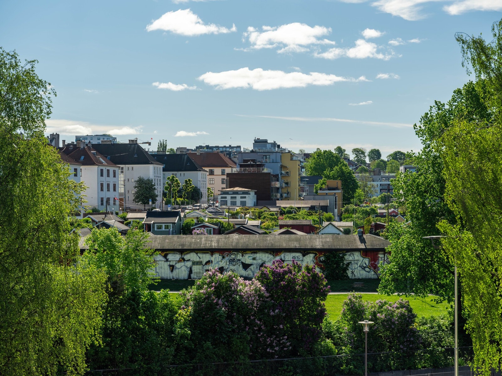 Og kolonihagene på samme sted. Galleribilde