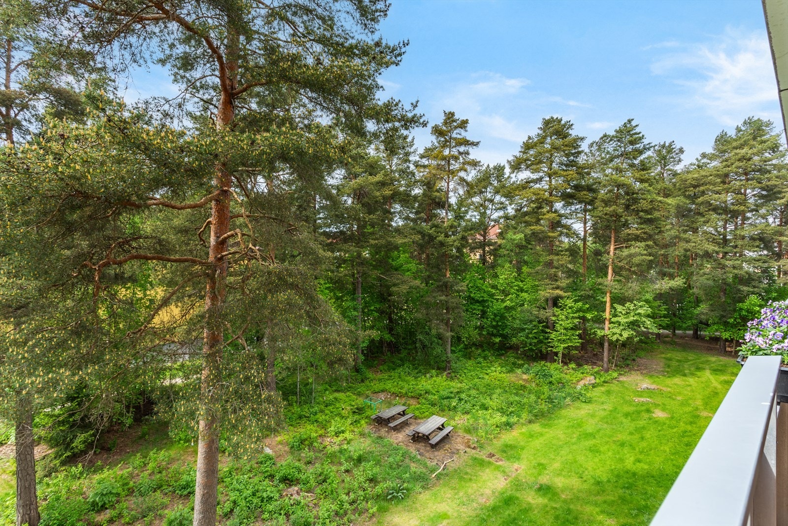 Her kan du nyte sene kvelder med hygge og grilling (elektrisk/gass), samt usjenert utsyn mot skogholt. Galleribilde