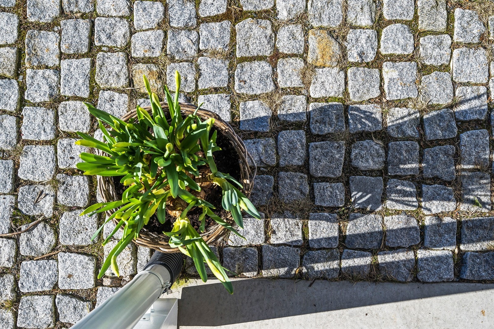 Utomhus Galleribilde