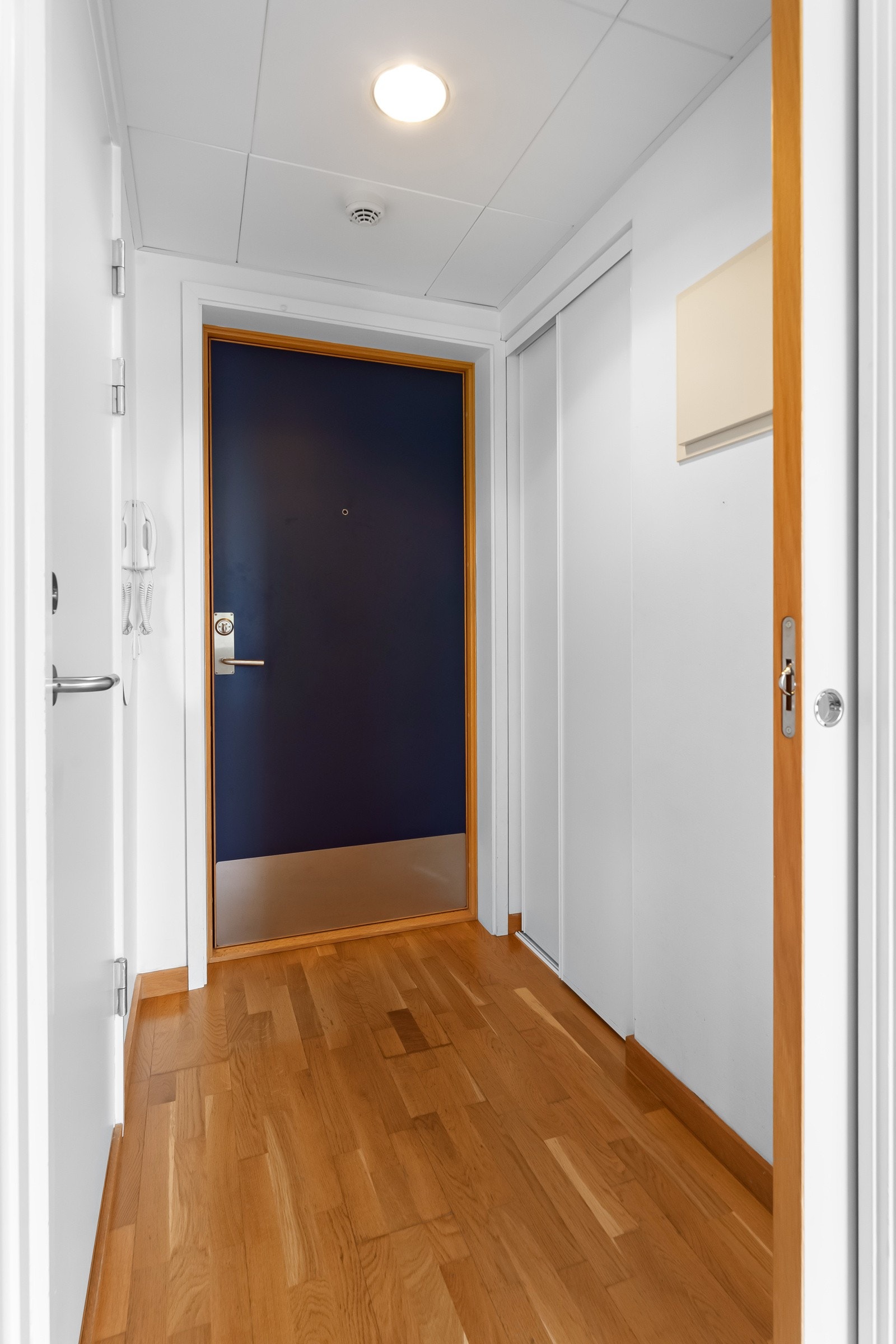 Brann- og lydklassifisert entrédør. Callinganlegg. Galleribilde