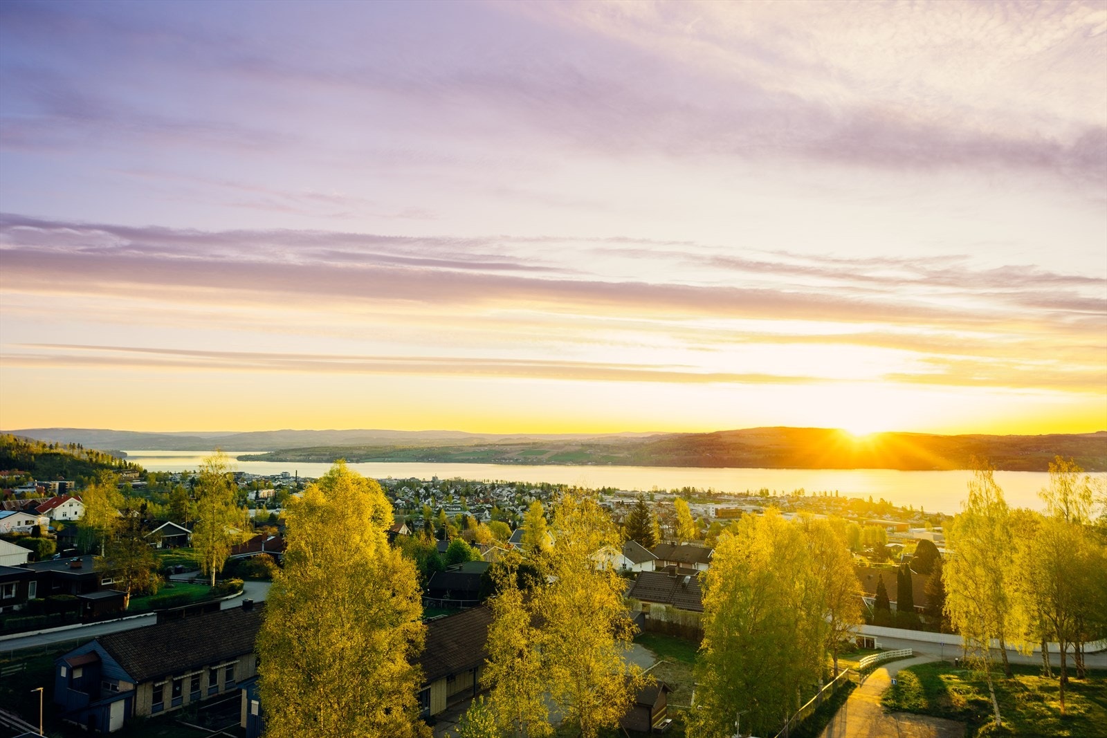 Detalj - Utsikt. Galleribilde