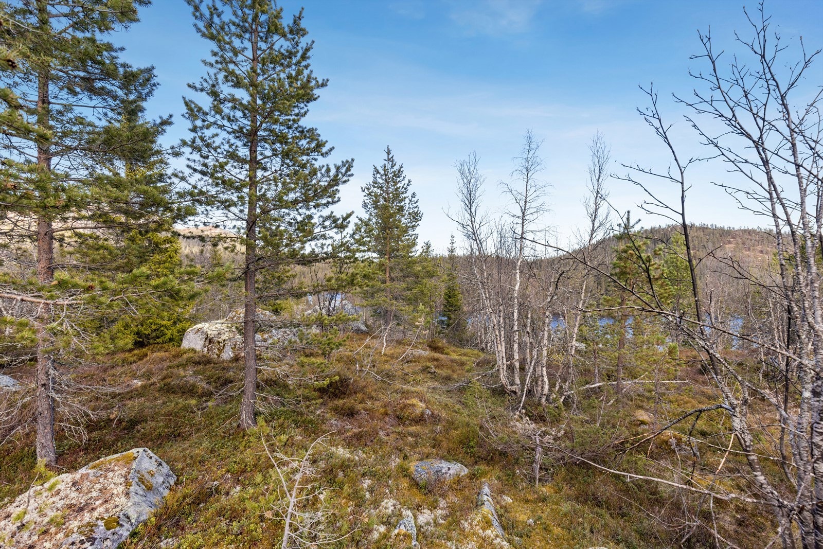 Tomten er i all hovedsak kupert naturtomt med gode solforhold. Galleribilde