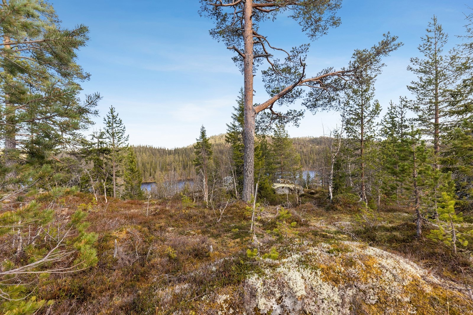 Tilknytning vann, avløp og strøm er allerede betalt. Galleribilde