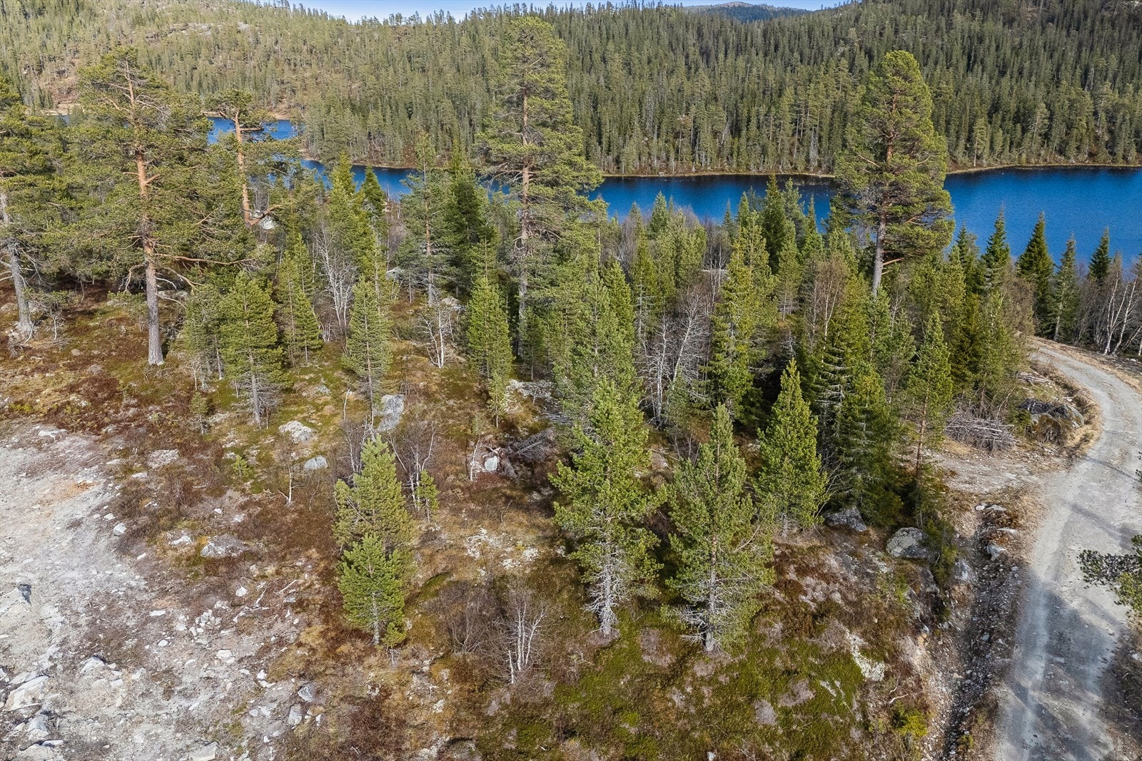 Romslig fritidseiendom på ca 2,4 mål. Galleribilde