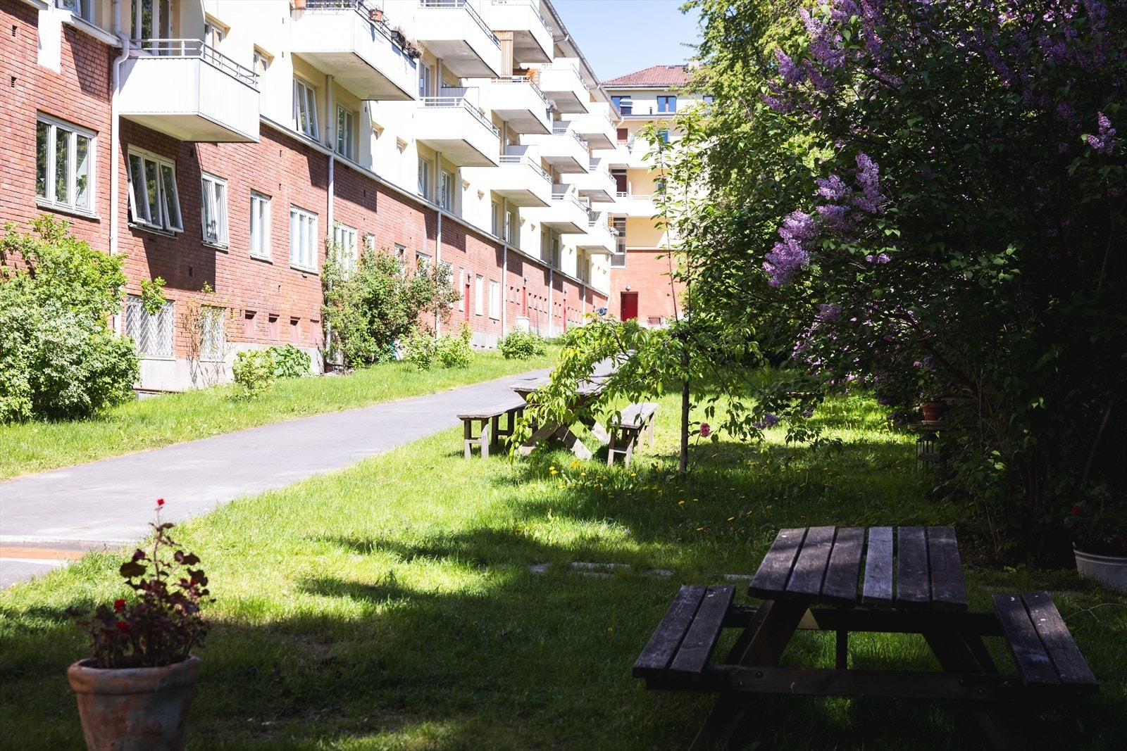 - Fellesområde - Galleribilde