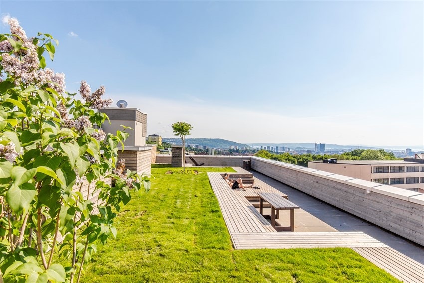 Sameiet har en felles takterrasse med utmerkede solforhold og spektakulær utsikt. Galleribilde
