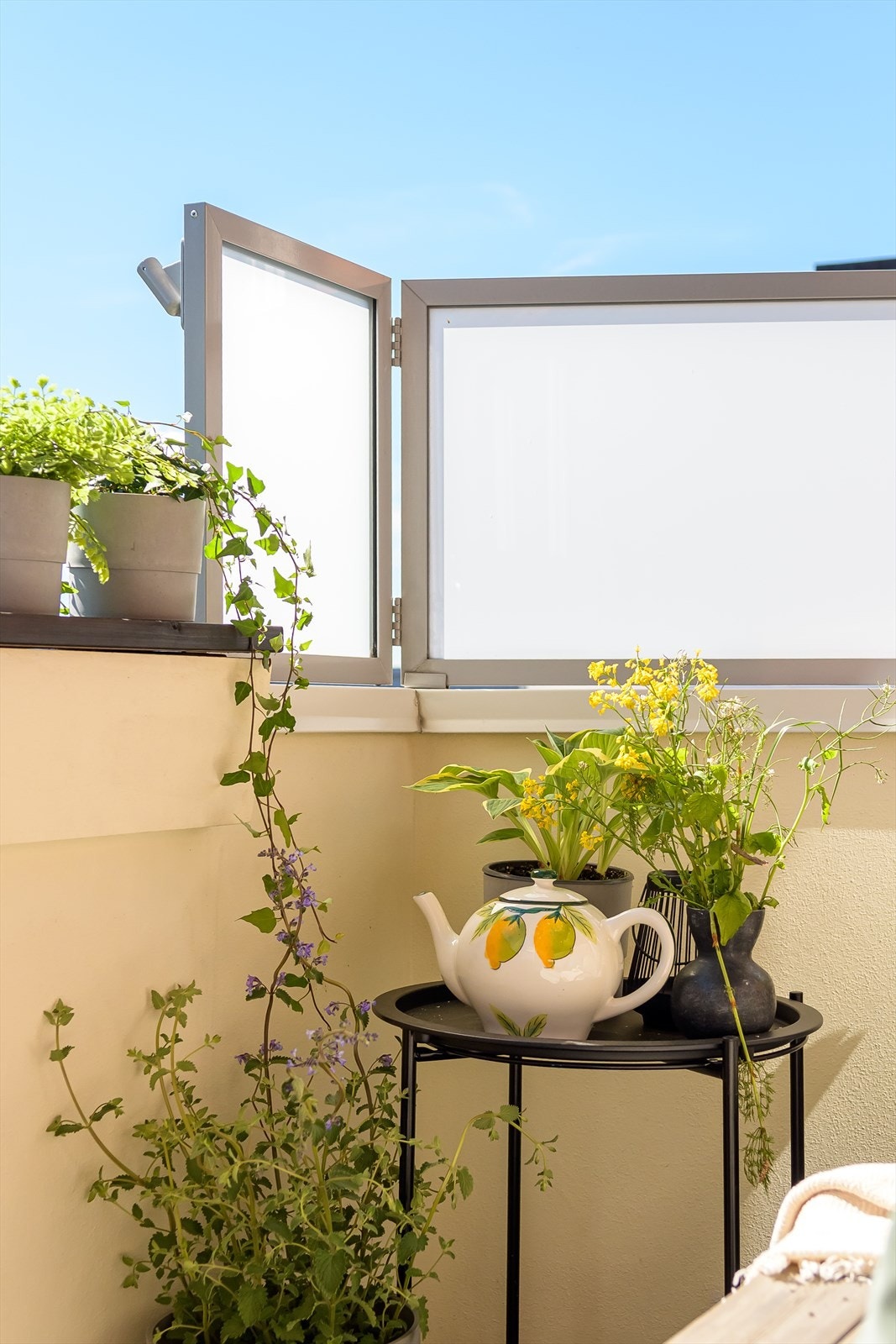 sommer idyll på balkongen Galleribilde