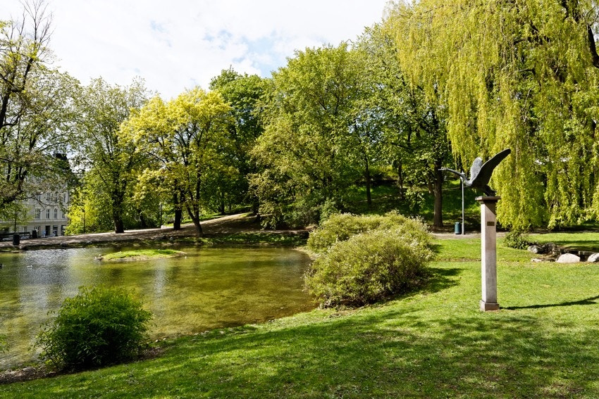 Nydelige St. Hanshaugen parken med flotte grøntområder Galleribilde