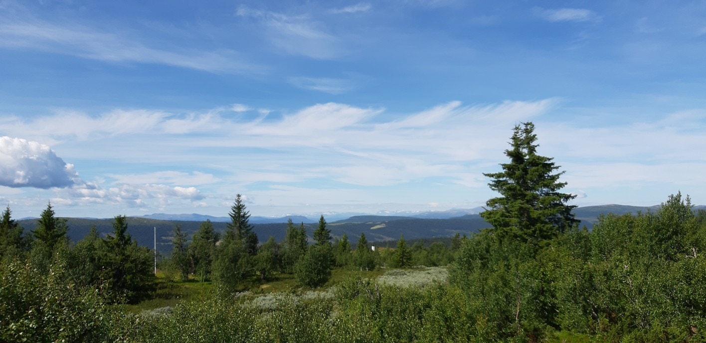 Selgers eget utsiktsbilde Galleribilde